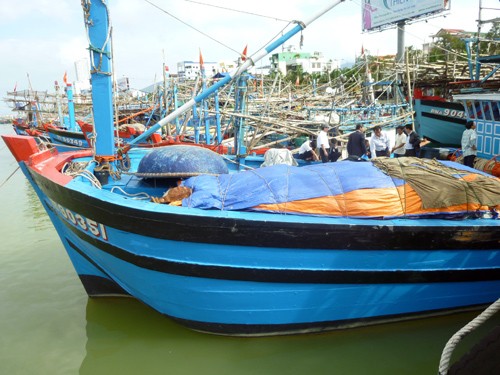 Đà Nẵng: Hơn 50 tàu cá được lắp thiết bị kết nối vệ tinh VMS - ảnh 1